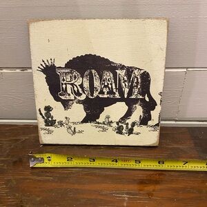 Buffalo Roam Canvas Art